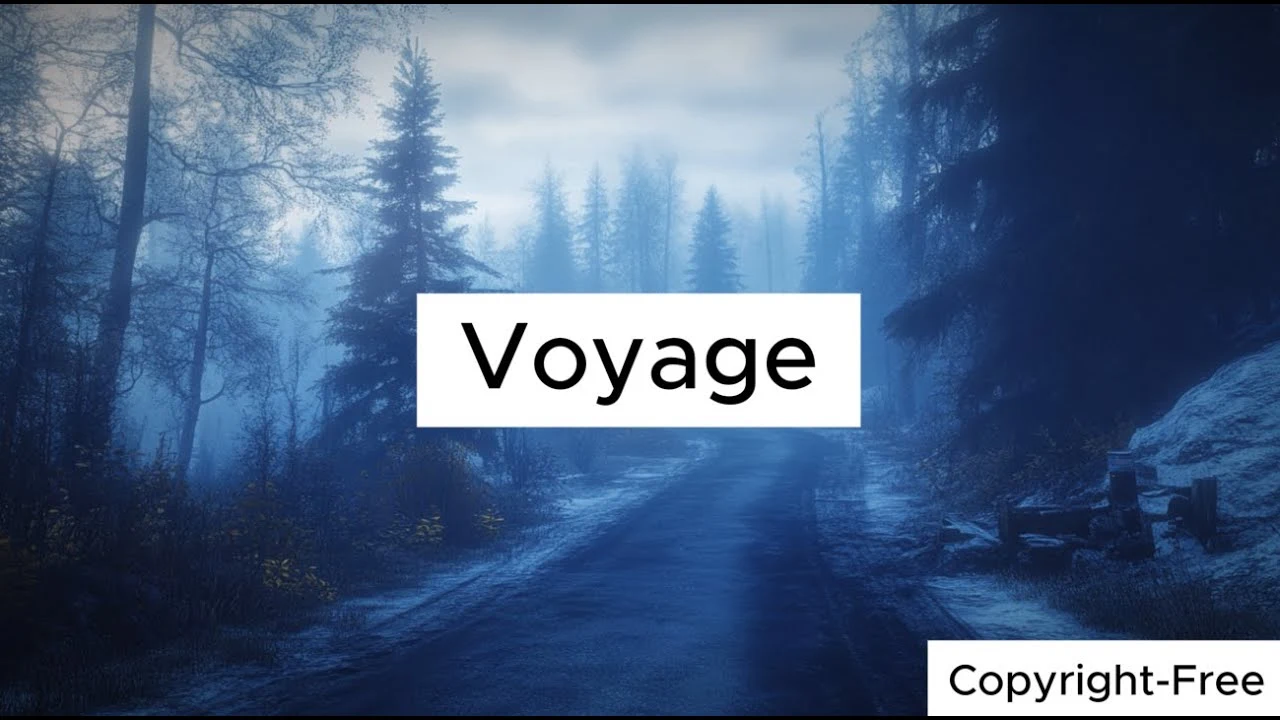 Voyage